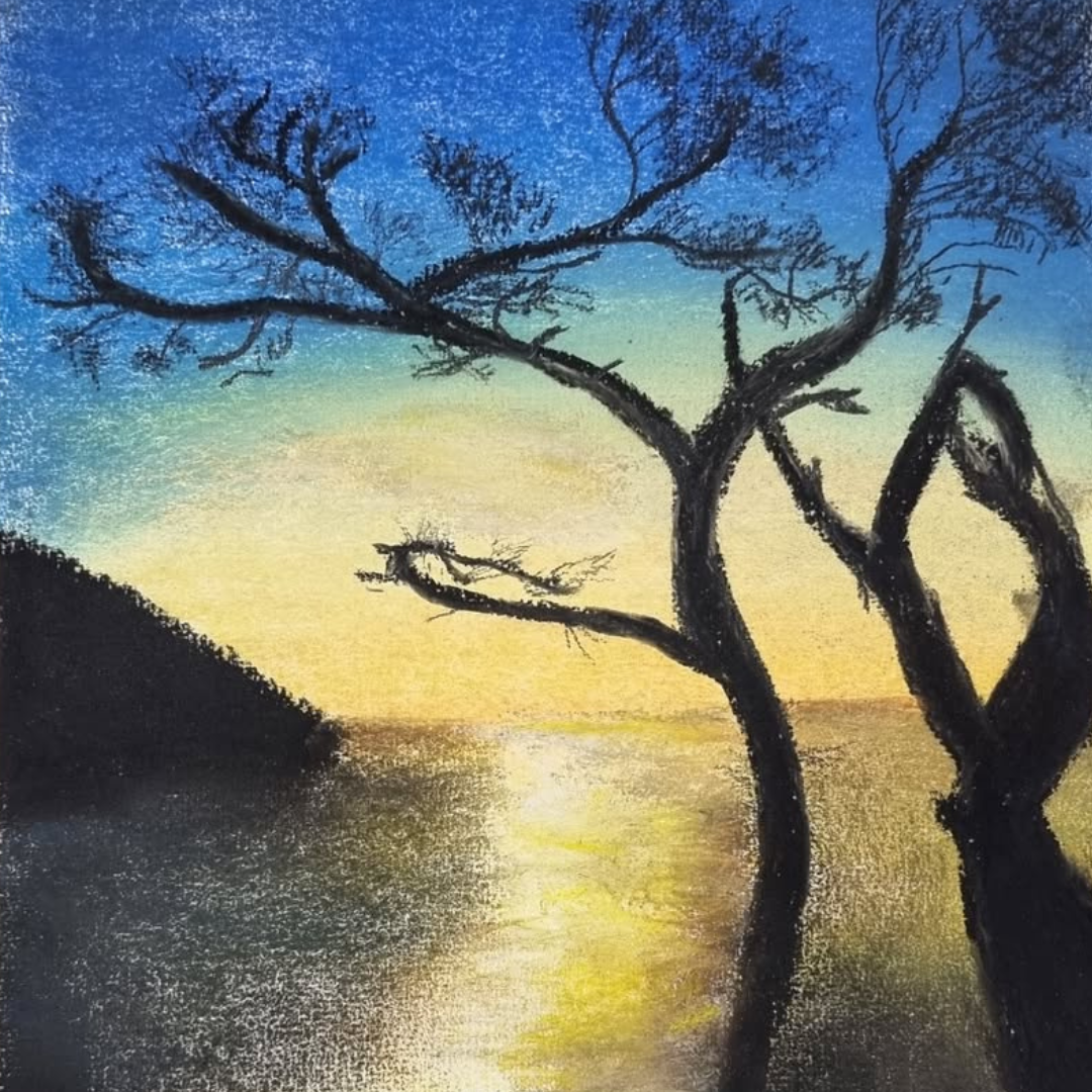 Anyone Can Draw! | Term 4