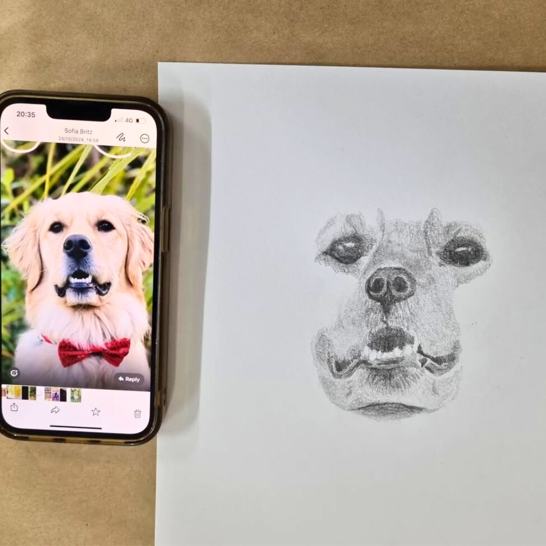 Anyone Can Draw! | Term 4