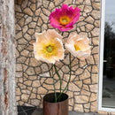 Giant Stemmed Crepe Poppies