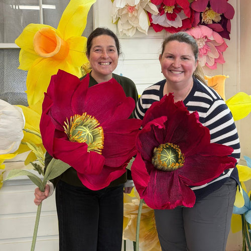 Giant Stemmed Crepe Poppies
