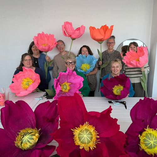 Giant Stemmed Crepe Poppies