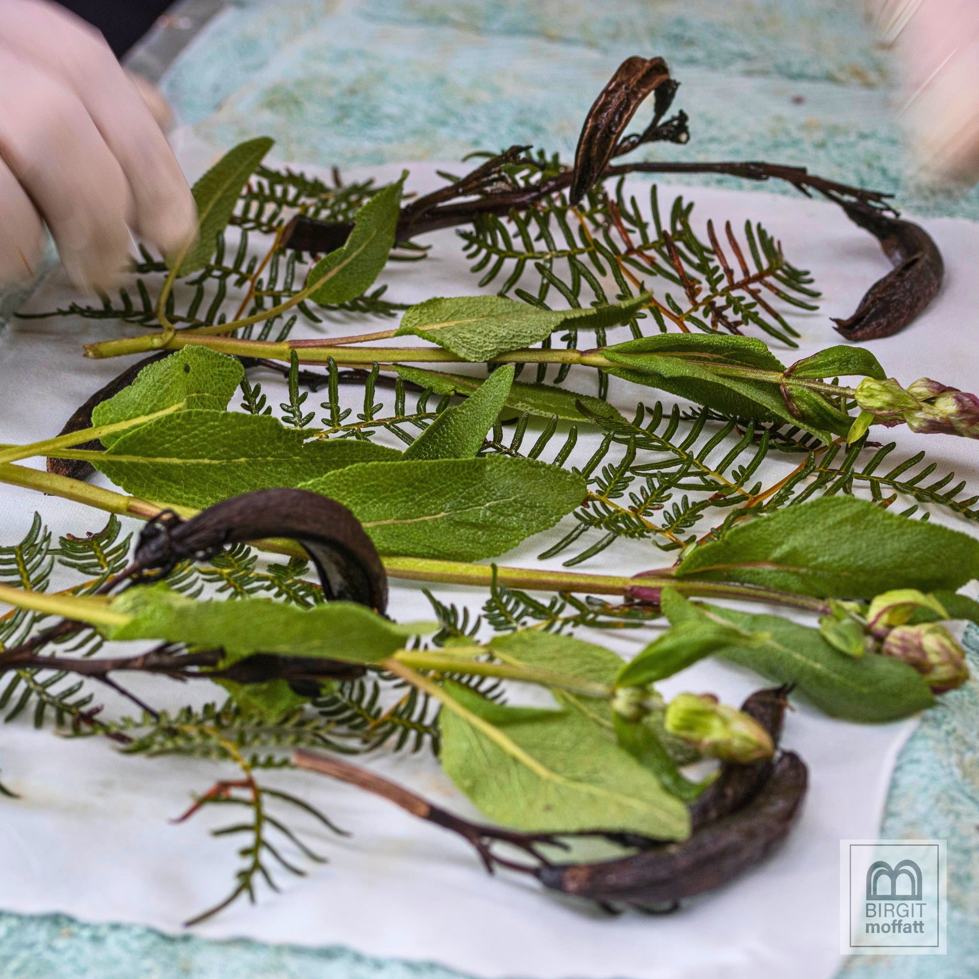 Eco-Dyeing