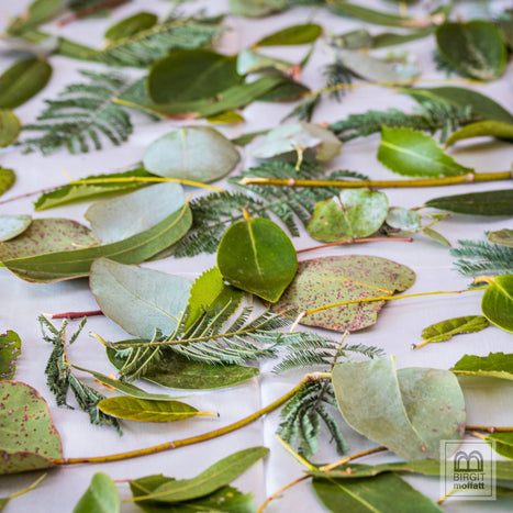 Eco-Dyeing