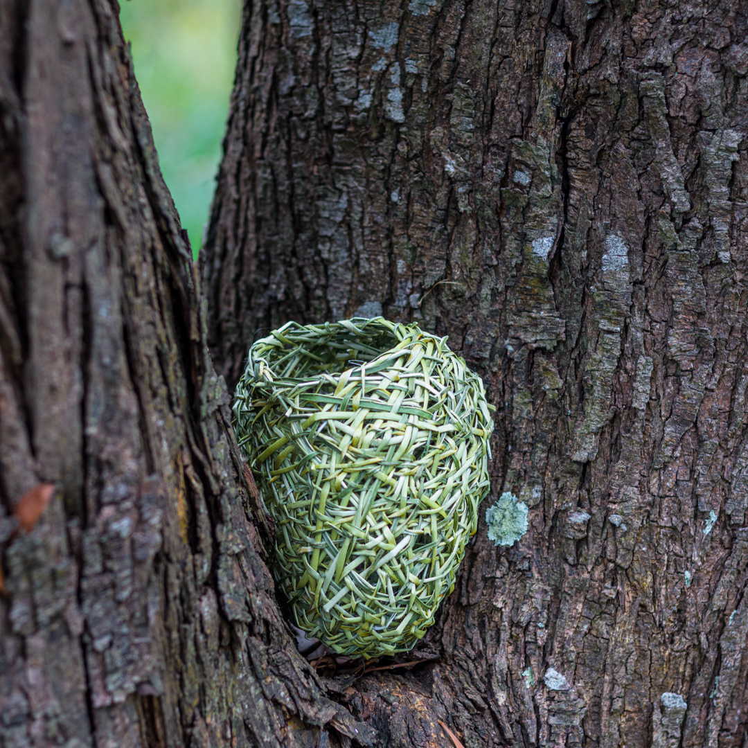 Basketry Weaving