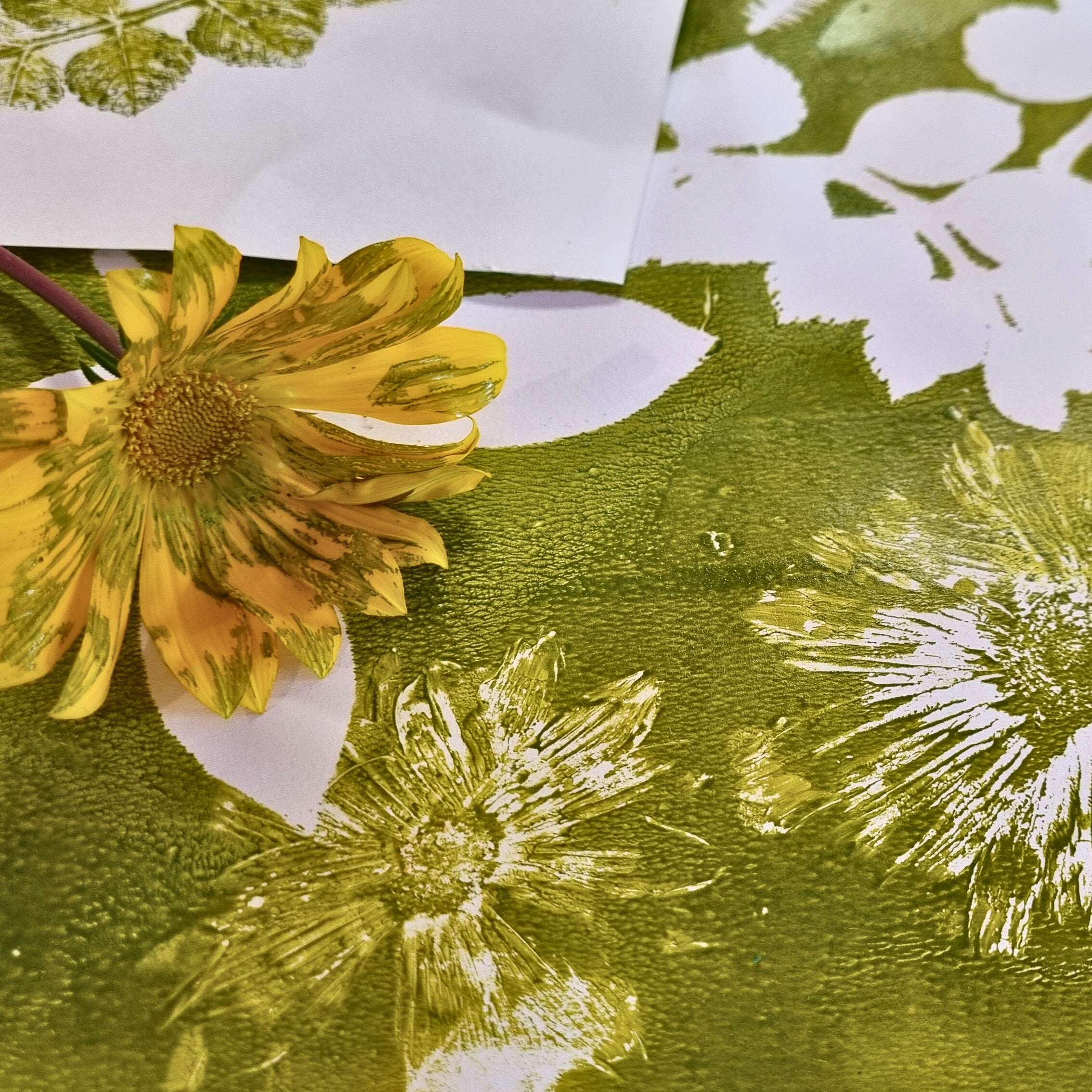 Botanical Gelli Printing