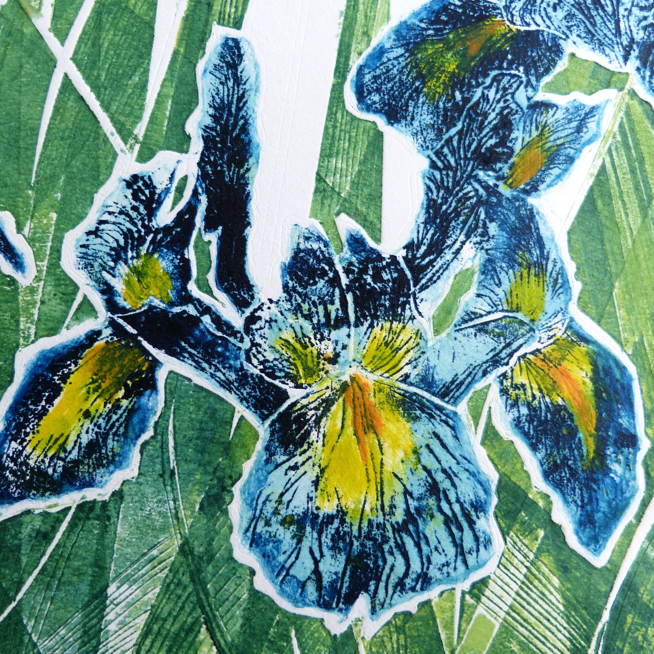 Wonders of Printmaking | Term 1