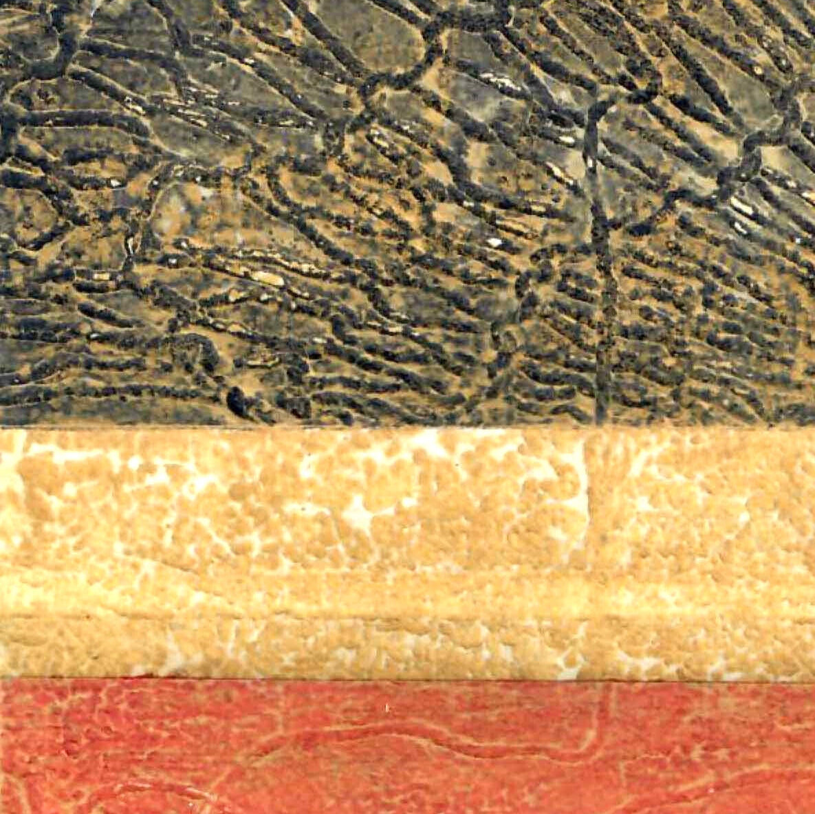 Wonders of Printmaking | Term 1