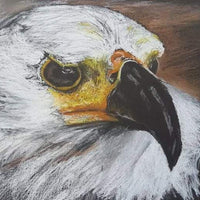 Anyone Can Draw! | Term 1