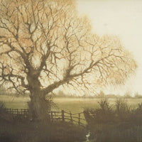 Painting Light